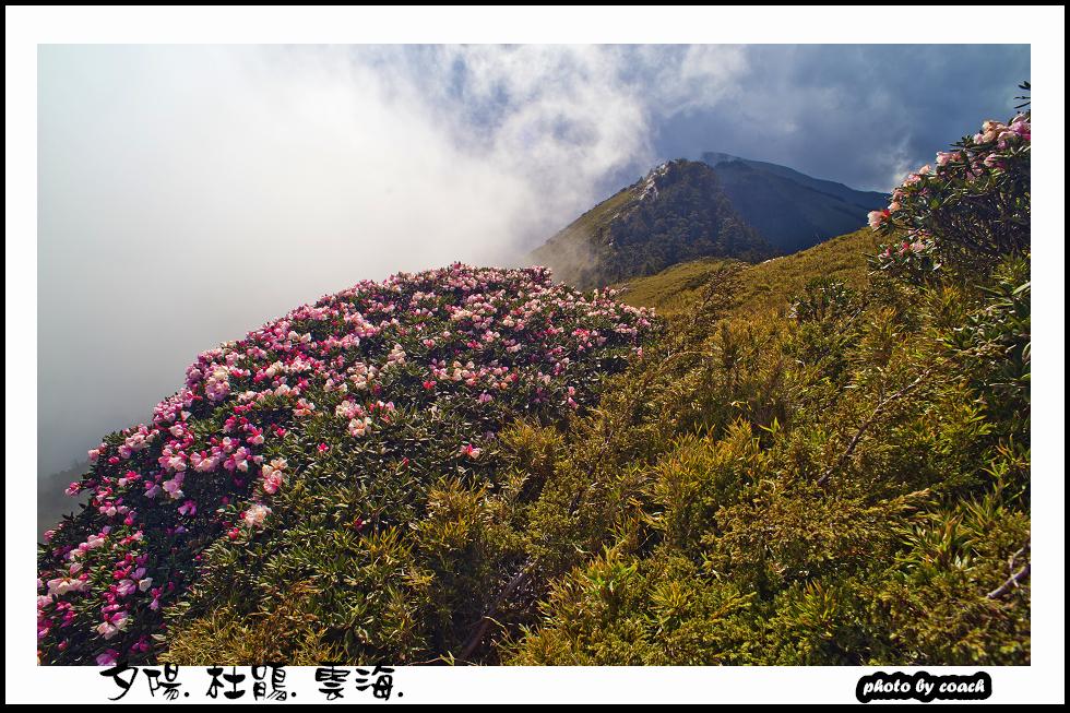 http://i.dcview.tw/gallery/201111/ce9df3608d9e471faee3e99ec93d22b9.jpg