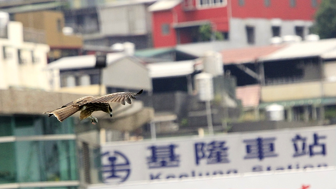 http://i.dcview.tw/gallery/201111/d0878e4462c39859c304d76070661b6b.jpg