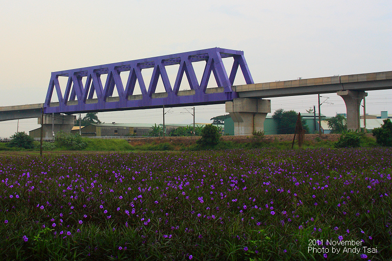 http://i.dcview.tw/gallery/201111/d49183b9753372a668f681155424bcb9.jpg