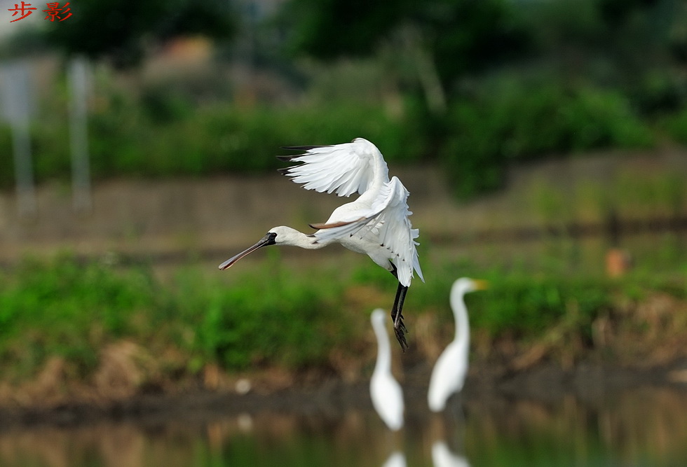 http://i.dcview.tw/gallery/201111/d6d4a2b05518115d296bf7a5377bfe14.jpg