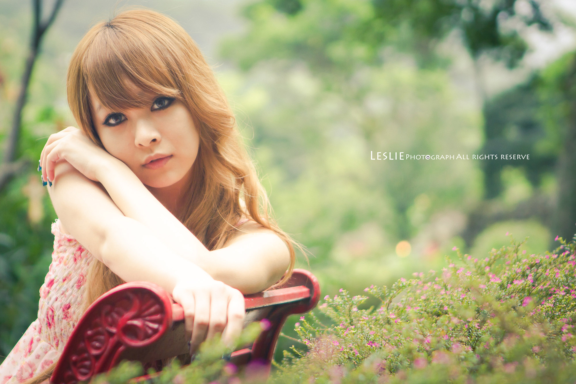 http://i.dcview.tw/gallery/201111/dcd5657fbe1ffc60a9b9c3f9bc88c066.jpg
