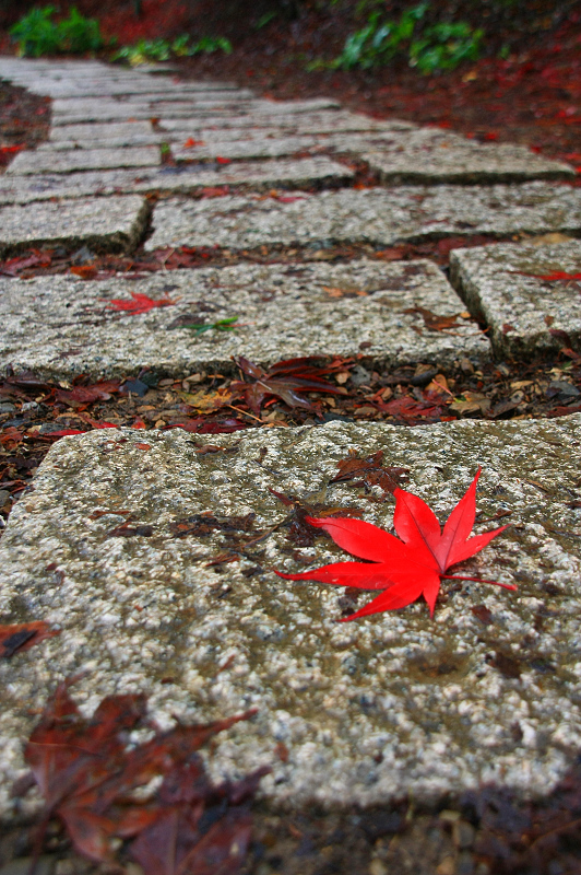 http://i.dcview.tw/gallery/201111/dfe90d688b2cfdee8dce50aafd80655b.jpg