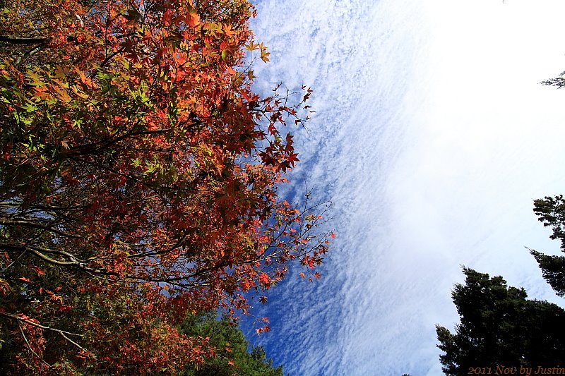 http://i.dcview.tw/gallery/201111/e3c2667ba926488ac6f3947840a80264.jpg