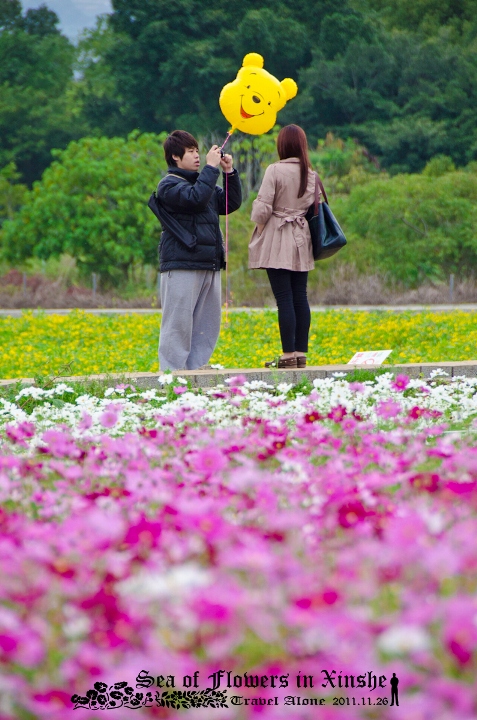http://i.dcview.tw/gallery/201111/e98aeb950aa39efada1fc3910161469f.jpg