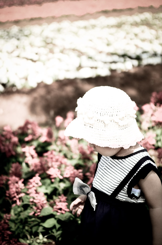 http://i.dcview.tw/gallery/201111/ecd8325f7525fedf9d7f882ff8f68cee.jpg