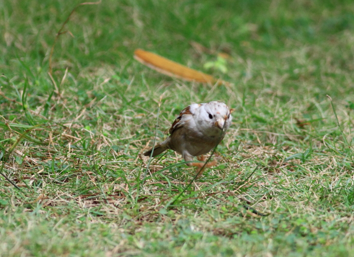 http://i.dcview.tw/gallery/201111/f0ac29f6d984b77b354d76a43dd4d1c5.jpg