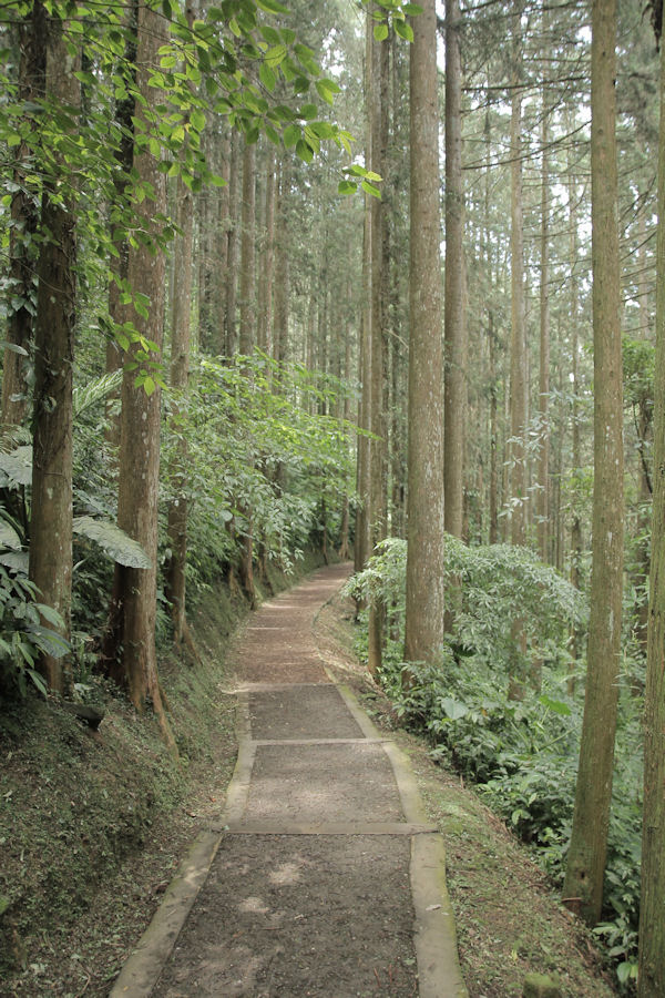 http://i.dcview.tw/gallery/201111/f2a104556507f2fe3853d4ad8a09964c.jpg