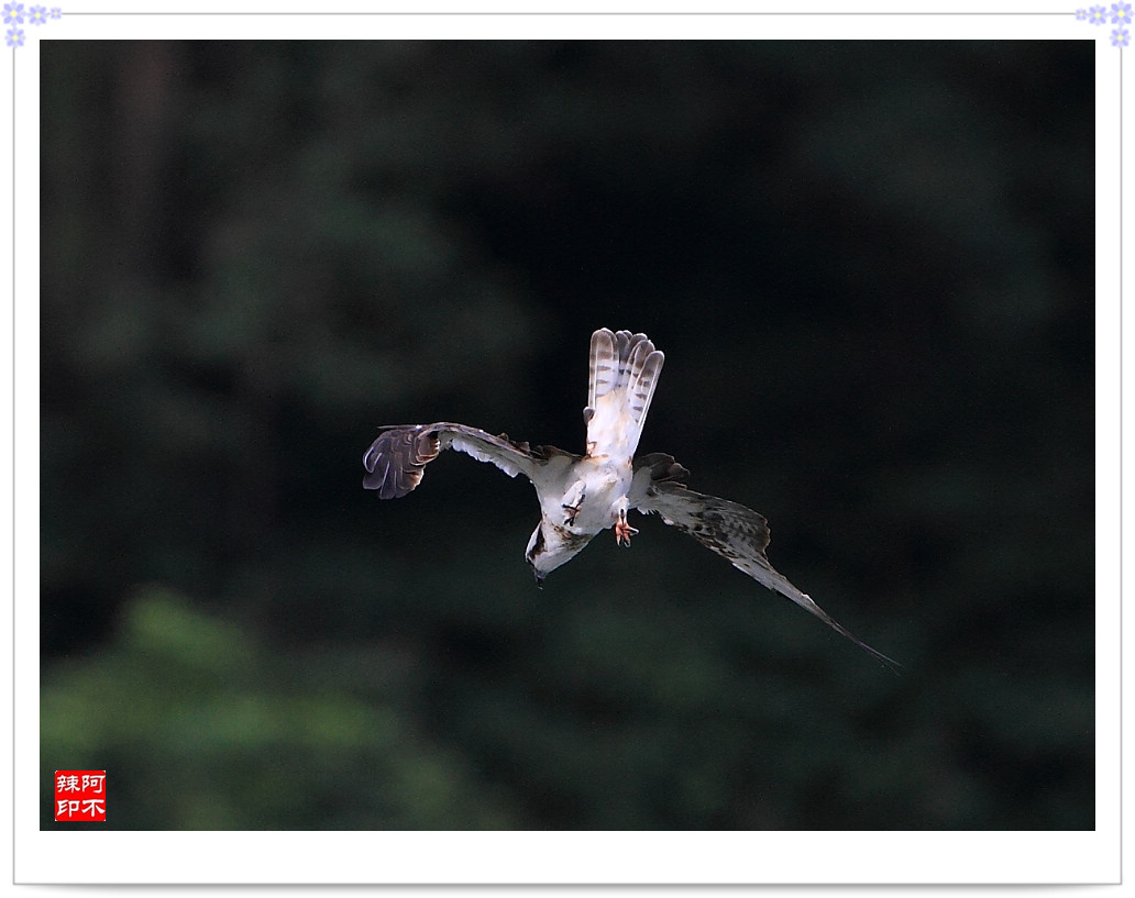 http://i.dcview.tw/gallery/201111/f2eac1cc5efc7182aee5c9995b6636f8.jpg