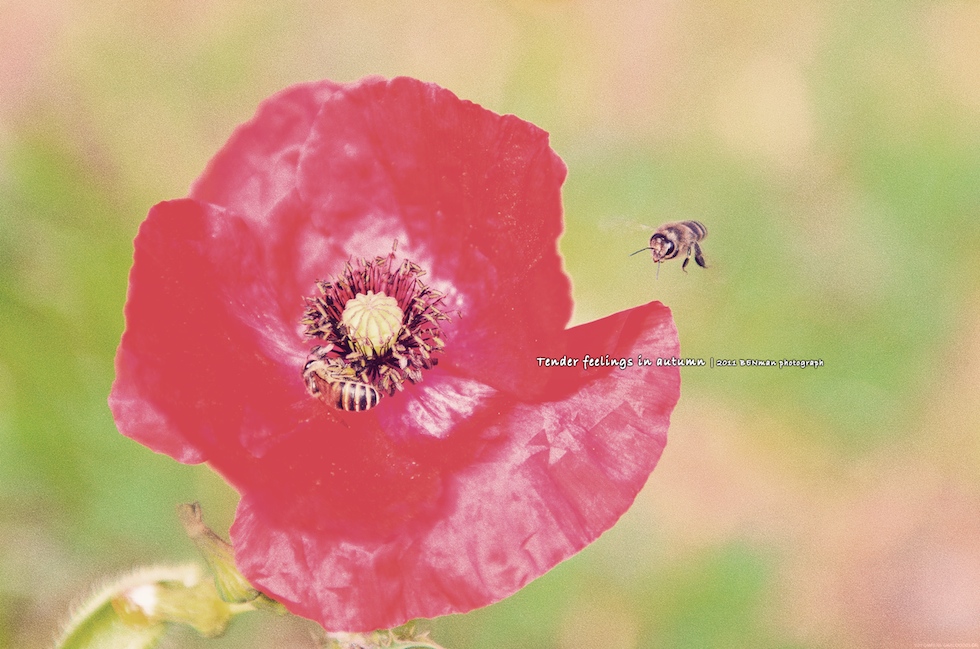 http://i.dcview.tw/gallery/201111/f5068782485b601f1381ce10d49d3e7f.jpg
