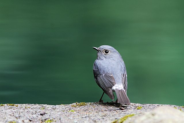 http://i.dcview.tw/gallery/201111/f5340ada87307c762d9b5467889fbb56.jpg