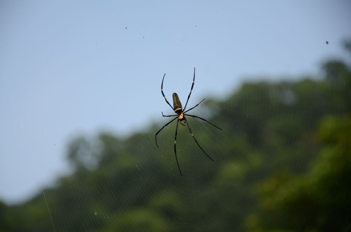 http://i.dcview.tw/gallery/201111/fba360026cc6f9fc26179359ef482e7b.jpg