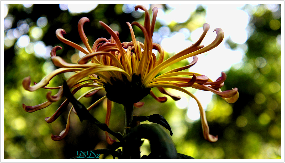http://i.dcview.tw/gallery/201111/fc92b8e4e66f65858e2a845b8518bd77.jpg