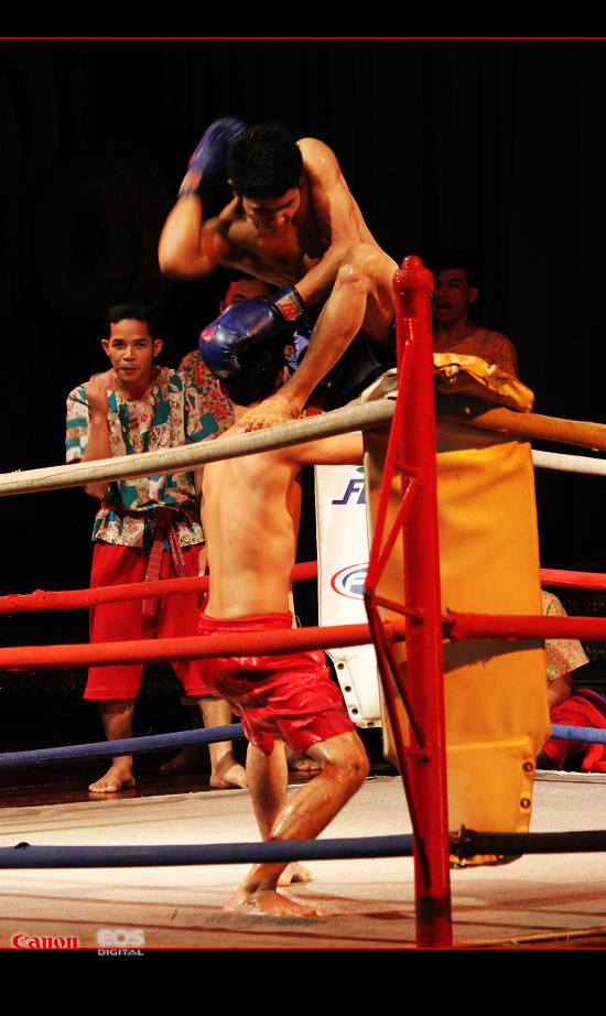http://i.dcview.tw/gallery/201112/0644a3b869d9fb3897a7b698b5df674f.jpg