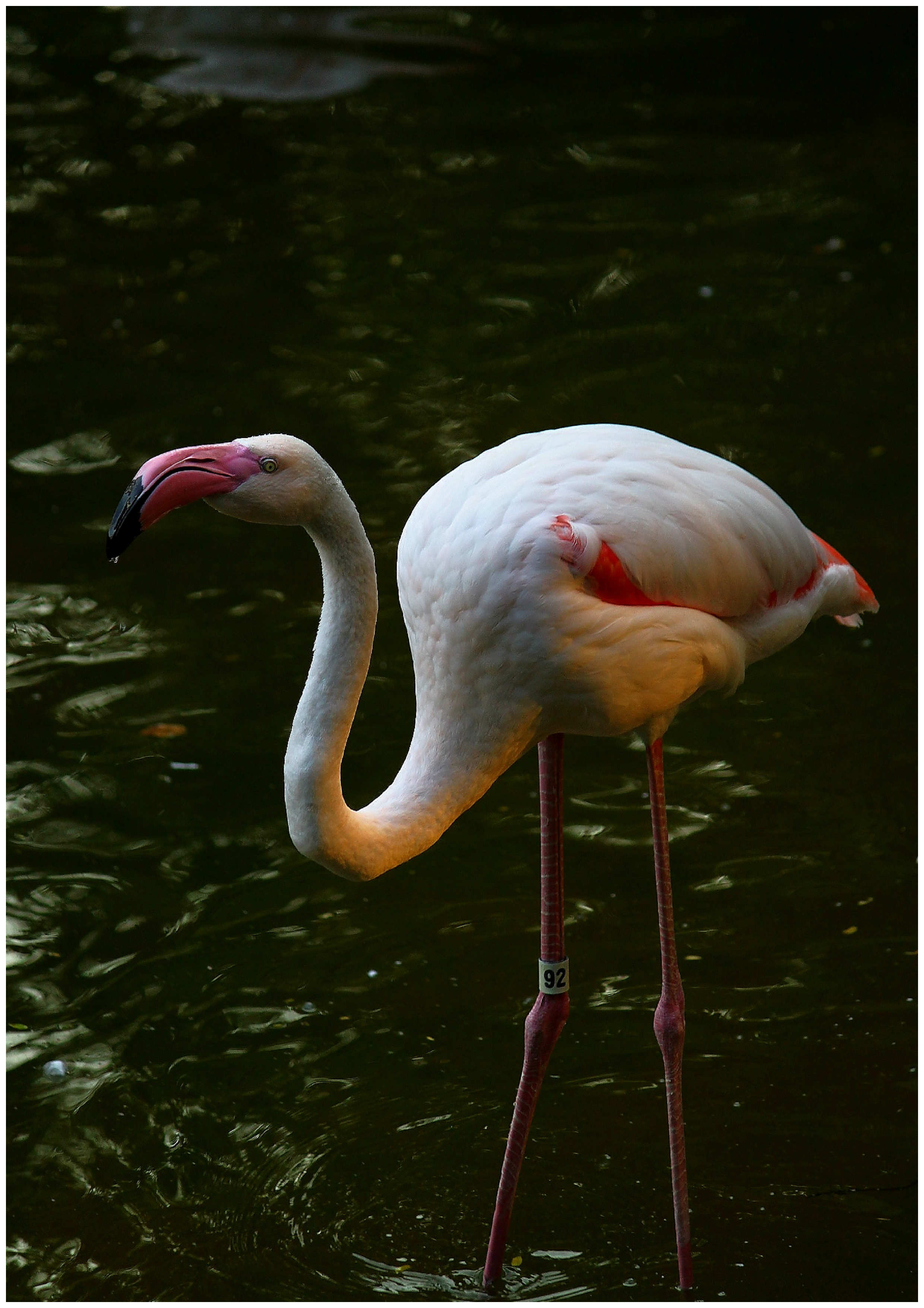 http://i.dcview.tw/gallery/201112/170cbac9ac121887f1cc38b3dea43b65.jpg