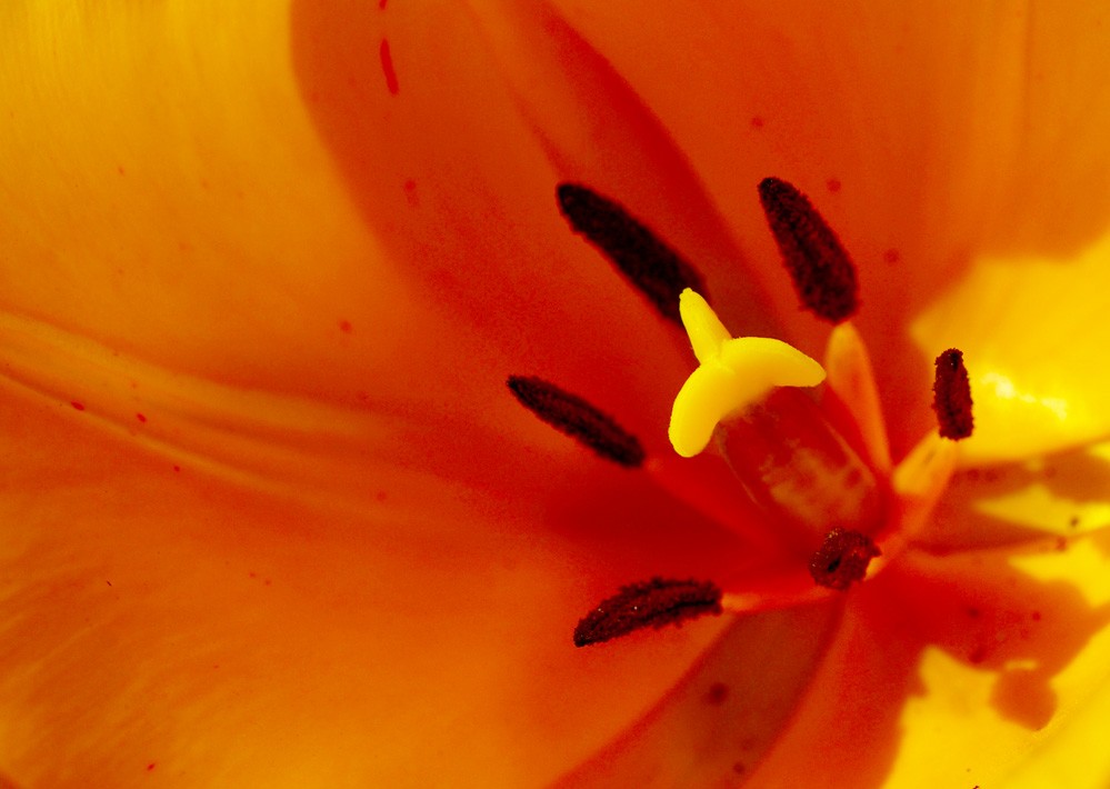 http://i.dcview.tw/gallery/201112/18480c9078759b5113d704e8e1d1ed68.jpg