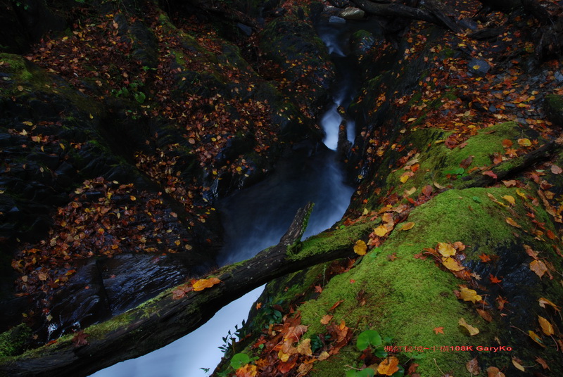http://i.dcview.tw/gallery/201112/1a1d2278f7eab616317baf15d526f2a8.jpg