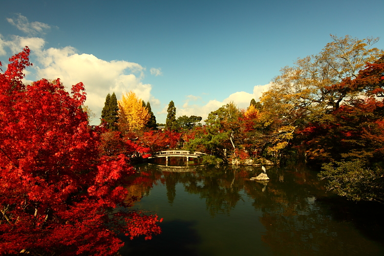 http://i.dcview.tw/gallery/201112/25cf62d526454d533eaba5a386fd1974.jpg
