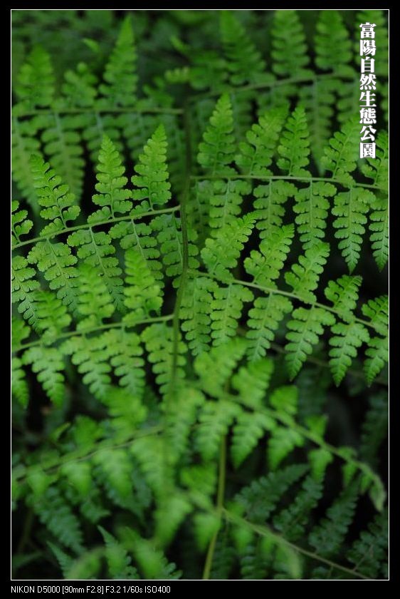 http://i.dcview.tw/gallery/201112/26687e927062e31252fd0ebd88c5e543.jpg