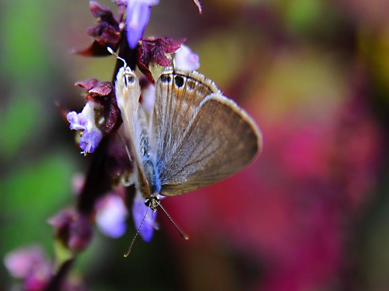http://i.dcview.tw/gallery/201112/29be28441a08e8ee7885d90cf81a8377.jpg