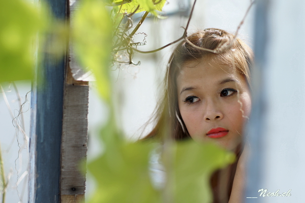 http://i.dcview.tw/gallery/201112/2aadff4aee8d77154398ca9590e4d35e.jpg
