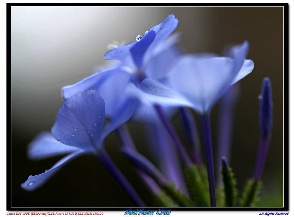 http://i.dcview.tw/gallery/201112/2f7030c2b0f96d0eaf8a4b03e30a87e0.jpg