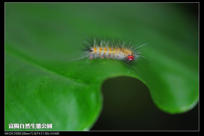 http://i.dcview.tw/gallery/201112/2f985811152dbdeeaacf9a25f1c6b9b8.jpg