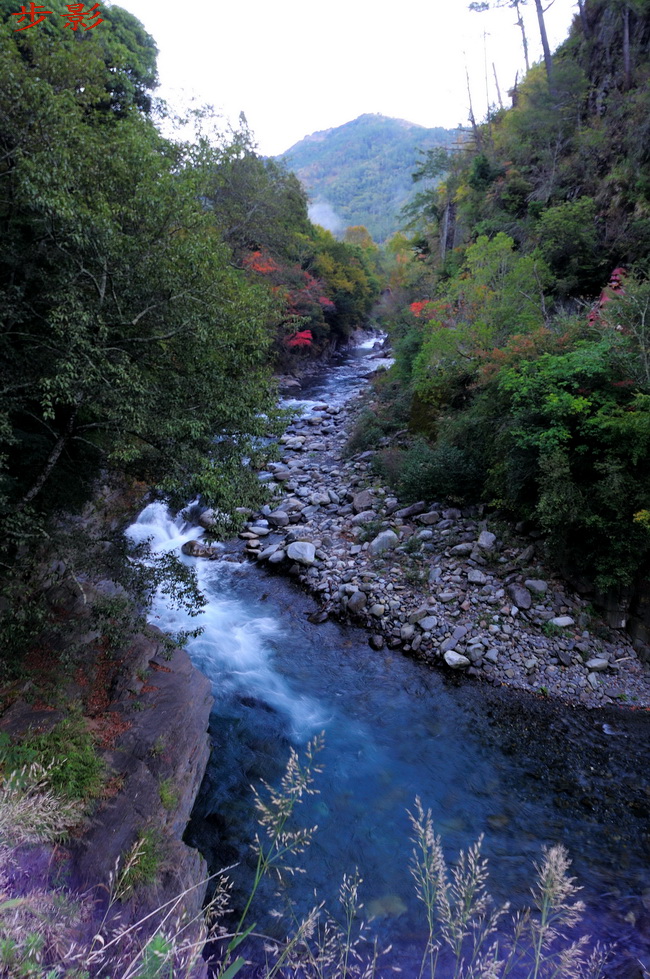 http://i.dcview.tw/gallery/201112/37b4e05567941608e44003d6848b4566.jpg