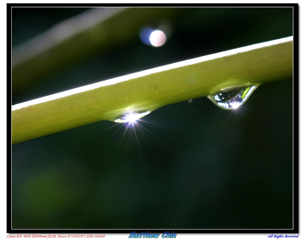http://i.dcview.tw/gallery/201112/37c9030b80911e159a23be76823c68cf.jpg