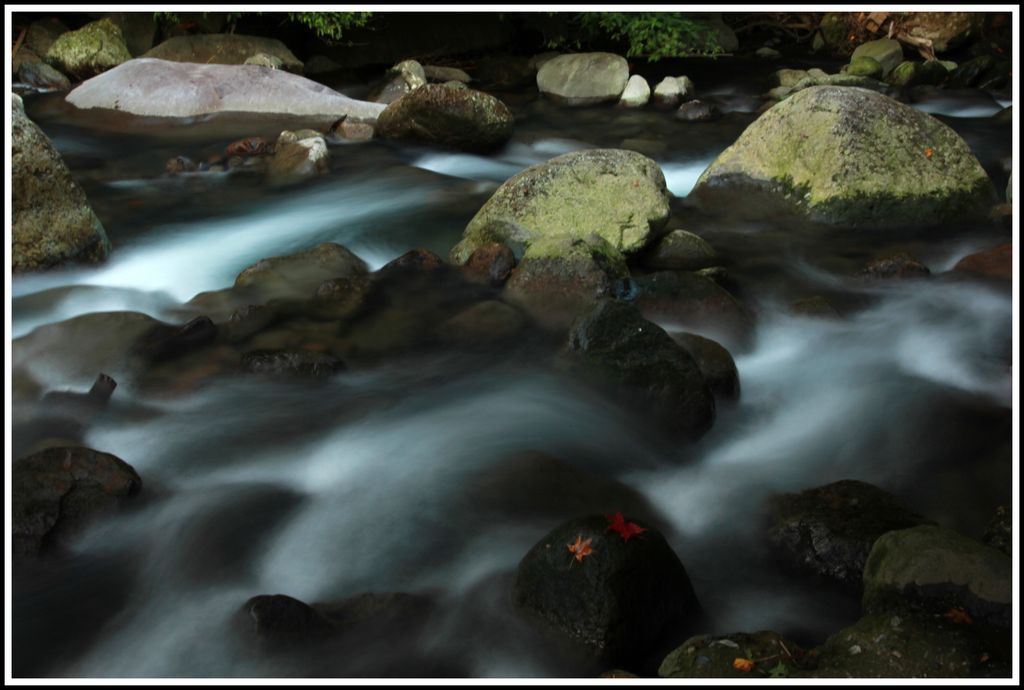http://i.dcview.tw/gallery/201112/3815ff12227d0f4907eb0815611ae5ec.jpg