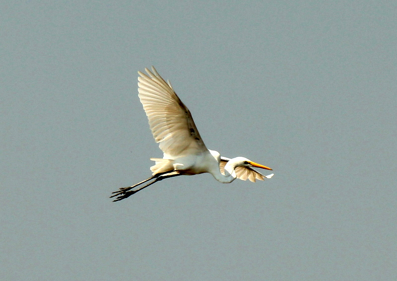 http://i.dcview.tw/gallery/201112/3b0470d5f53cff3bf2b08112c2e967d4.jpg