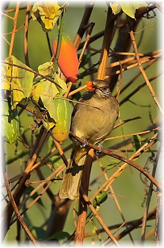 http://i.dcview.tw/gallery/201112/3d04f99cc69bb0b57f66d715f8ac9e95.jpg