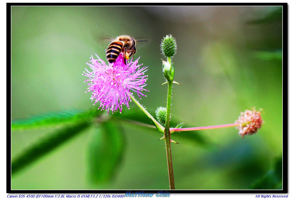 http://i.dcview.tw/gallery/201112/4219e607253df41d27791dadb68eedba.jpg