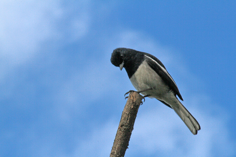 http://i.dcview.tw/gallery/201112/4310e7ae8577585a8d51491c7e633bdd.jpg