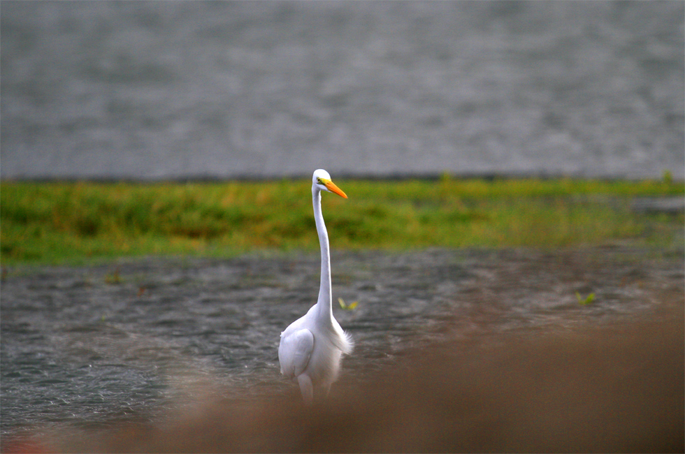 http://i.dcview.tw/gallery/201112/47283f4c8864632a2f7fc0cd65179a2a.jpg