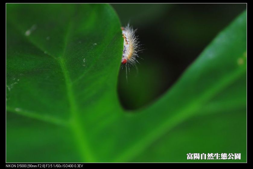 http://i.dcview.tw/gallery/201112/47e0ea7e13f69f211c32207361fed550.jpg