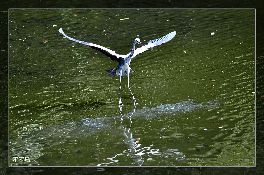 http://i.dcview.tw/gallery/201112/49167e768911897a346543275a885e60.jpg