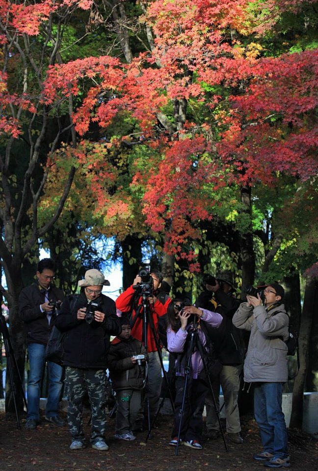 http://i.dcview.tw/gallery/201112/49fa36e0f925d476bf14ee774fc16acf.jpg