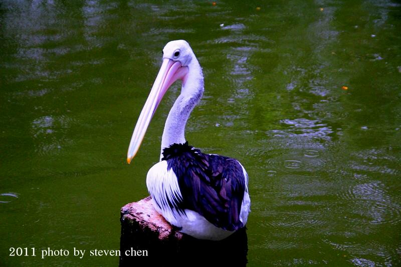 http://i.dcview.tw/gallery/201112/50b62f6679df9e17b3f6c3d4e4d5e6de.jpg