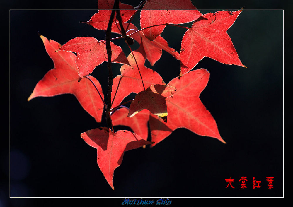 http://i.dcview.tw/gallery/201112/52a515ccc5952818b43d663d7626eb10.jpg