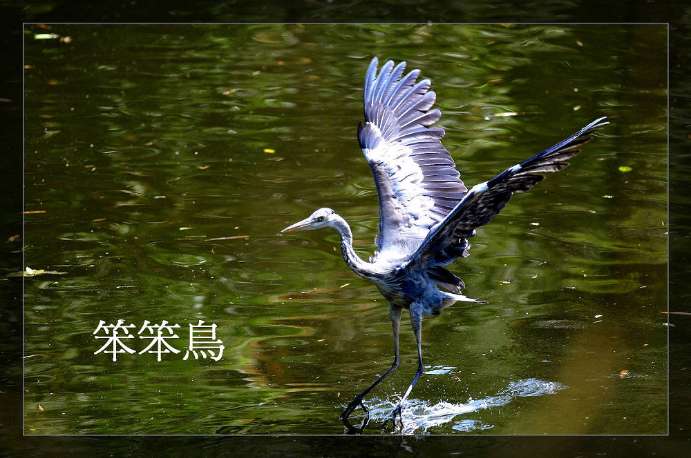 http://i.dcview.tw/gallery/201112/55f69c6b2b54c185da39e20f6364606d.jpg