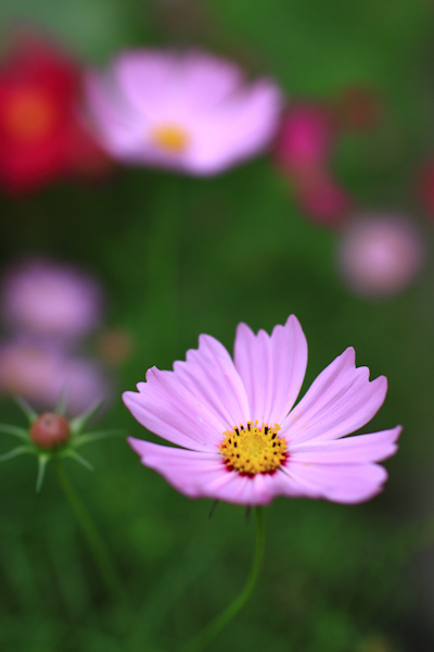 http://i.dcview.tw/gallery/201112/5fcfe6b65c277a48a74c1454218ce5b0.jpg