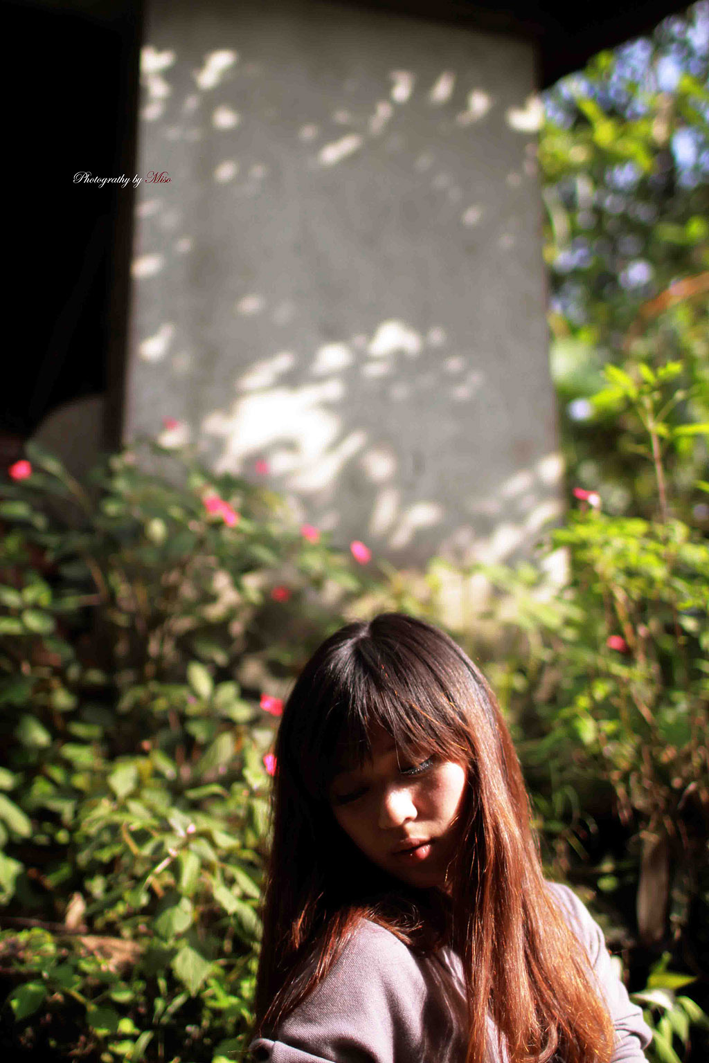 http://i.dcview.tw/gallery/201112/61976920f66da9308c83edad0dc9785e.jpg