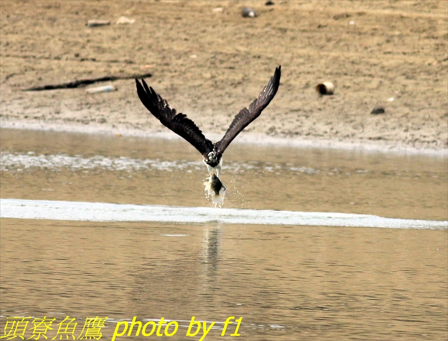 http://i.dcview.tw/gallery/201112/61e6c254864bf66c1d925af6785b70c2.jpg