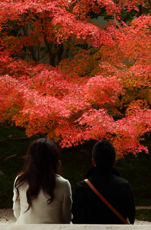 http://i.dcview.tw/gallery/201112/63954f297c7d176d5f435507299bd11b.jpg