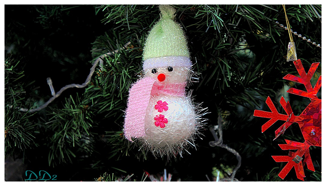 http://i.dcview.tw/gallery/201112/63b77be399cf30b199f578ee17309064.jpg
