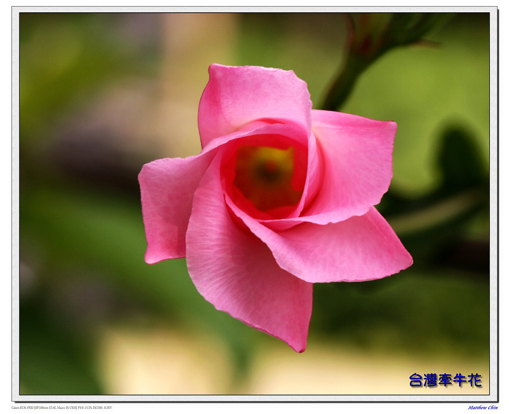 http://i.dcview.tw/gallery/201112/65a31e4c2eb43f42b1fd2311048aa9d5.jpg