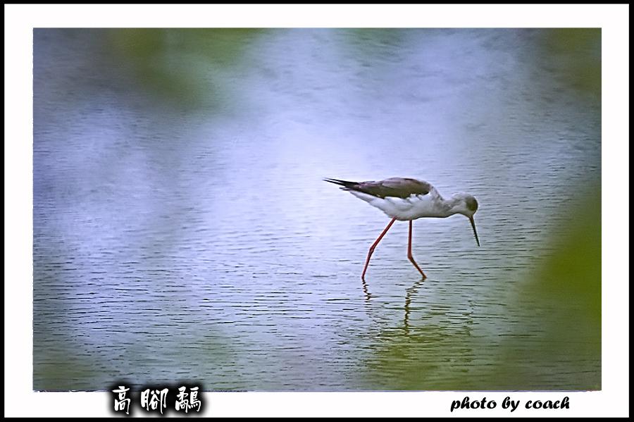 http://i.dcview.tw/gallery/201112/674c5a261fdf3fa1f7459e6f7c7371a7.jpg