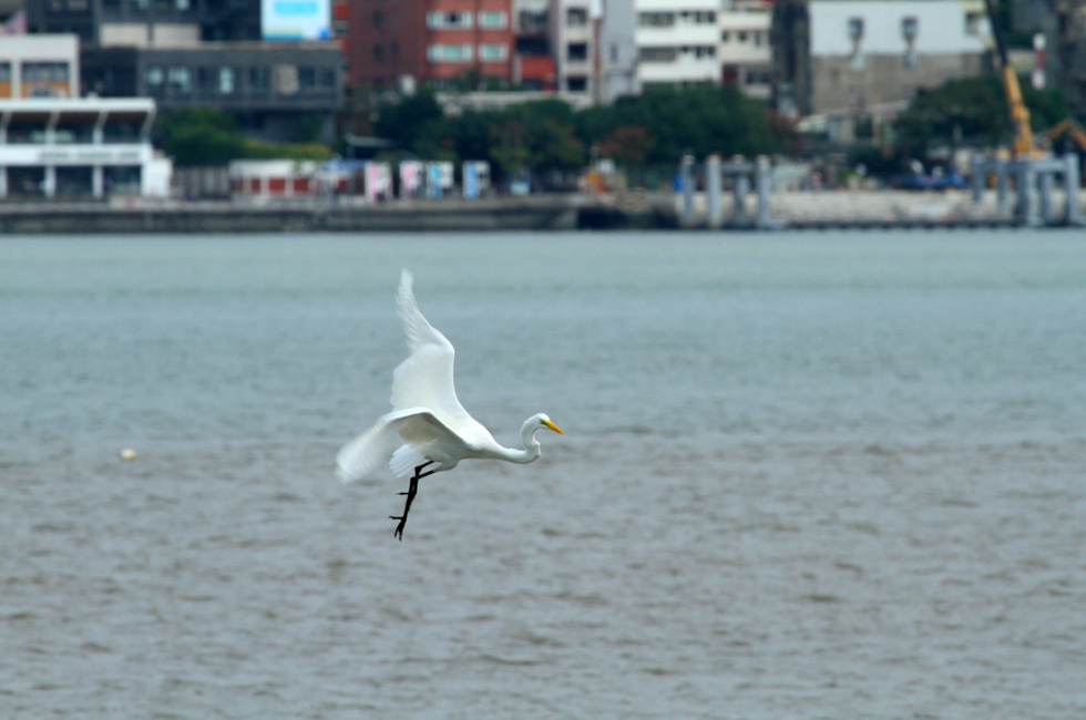 http://i.dcview.tw/gallery/201112/6b77364b79674b4611511b9a2f8e535a.jpg