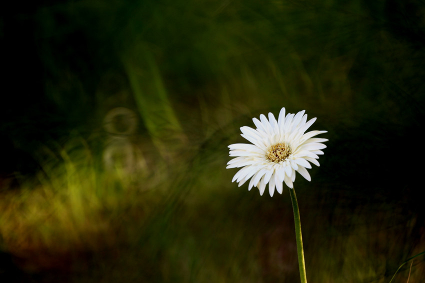 http://i.dcview.tw/gallery/201112/6ca187bfa4dea5e1f08ba6c3dd95a7bb.jpg