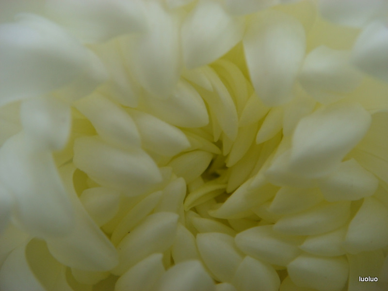 http://i.dcview.tw/gallery/201112/6fe1542162c6a657b3e813b90f856ea3.jpg